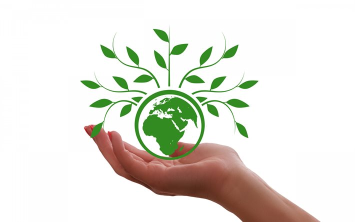 take care of the planet, Earth, eco concepts, take care of Nature, Save Earth, white background, earth in the palm of hand