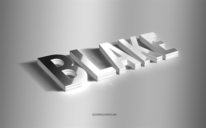 Blake, silver 3d art, gray background, wallpapers with names, Blake name, Blake greeting card, 3d art, picture with Blake name