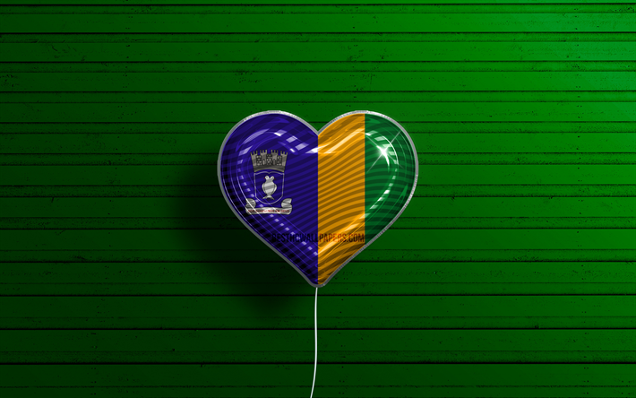 ラウロ・デ・フレイタスが大好き, chk, リアルな風船, 緑の木製の背景, ラウロ・デ・フレイタスの日, ブラジルの都市, ラウロ・デ・フレイタスの旗, ブラジル, 旗が付いている気球, ラウロ・デ・フレイタス