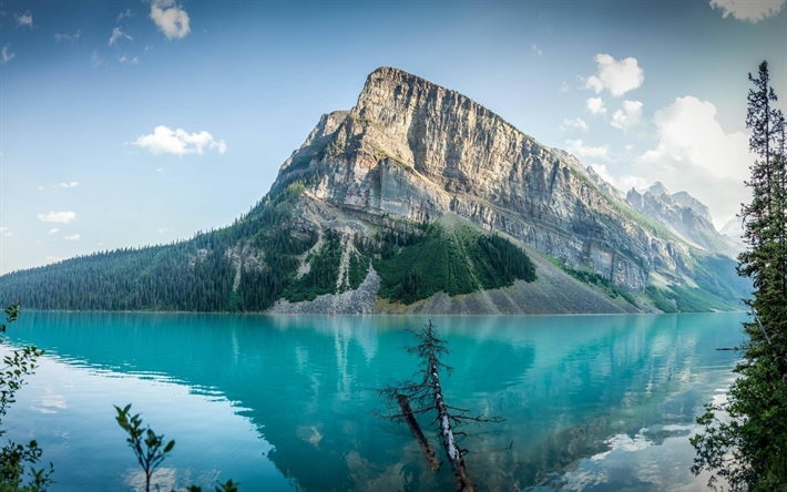 glacial lake, lake louise, einem bergsee, berg, alberta, banff, kanada