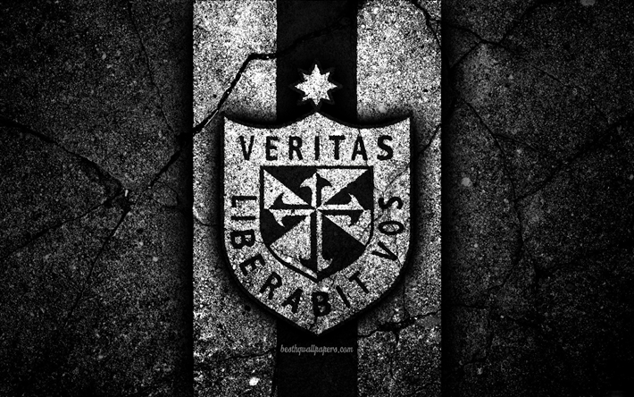 4k, Sevilla San Vicente FC, logo, Peru, Lig, grunge, futbol, siyah taş, Sevilla San Martin, Futbol Kul&#252;b&#252;, asfalt doku, FC De San Martin
