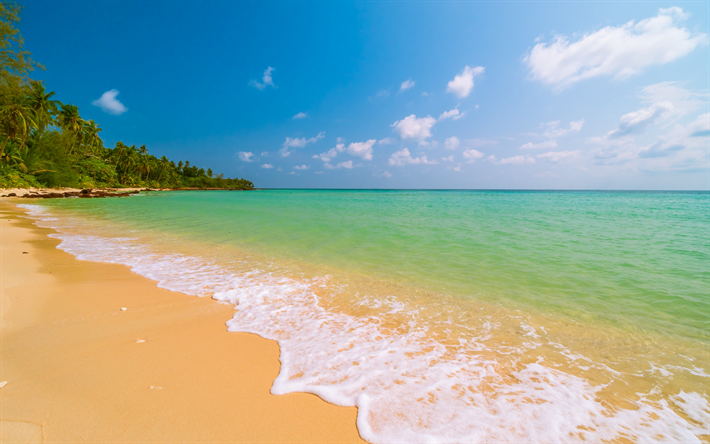 tropical island, palms, beach, ocean, azure cove, white clouds, summer travels, Bora Bora