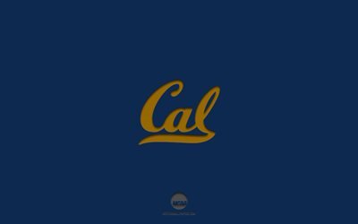 California Golden Bears, sfondo blu, squadra di football Americano, emblema California Golden Bears, NCAA, California, USA, football Americano, California Golden Bears logo