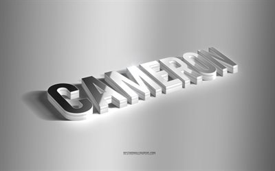 Cameron, silver 3d konst, gr&#229; bakgrund, bakgrundsbilder med namn, Cameron namn, Cameron gratulationskort, 3d konst, bild med Cameron namn