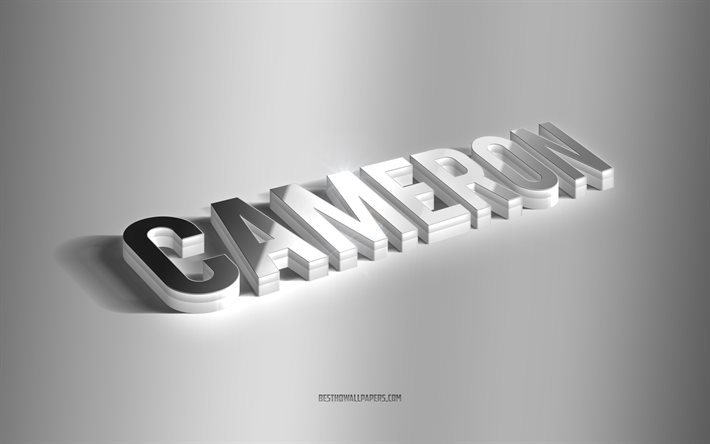 كاميرون, فن 3d الفضة, خلفية رمادية, خلفيات بأسماء, اسم كاميرون, بطاقة تهنئة كاميرون, فن ثلاثي الأبعاد, صورة باسم كاميرون
