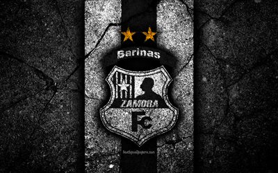 4k, Zamora FC, logo, Lig FutVe, siyah taş, futbol, Venezuela, Lig, Futbol Kul&#252;b&#252;, Zamora, yaratıcı, asfalt doku