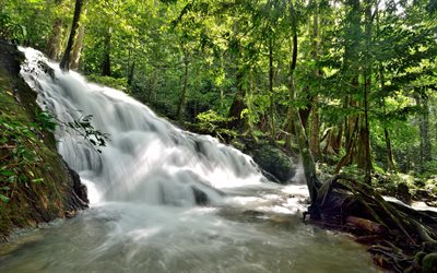djungel, regnskogen, vattenfall, sj&#246;n, Thailand, h&#246;ga vackra vattenfall, vattenresurser, milj&#246;