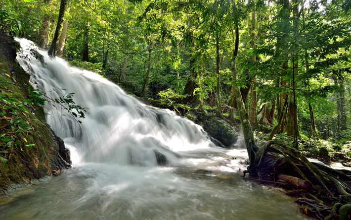 jungle, rainforest, waterfall, lake, Thailand, beautiful high waterfall, water resources, environment
