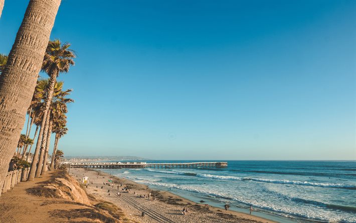 San Diego, Tyynenmeren valtameri, rannikko, ilta, auringonlasku, San Diegon rannat, palmuja, kalifornia, USA