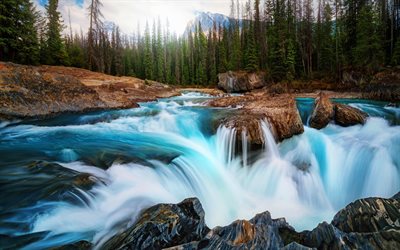 Canada, mountain river, waterfalls, forest