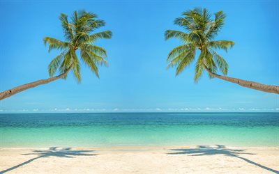 palms on the sea, beach, tropical island, sand, ocean, palm trees