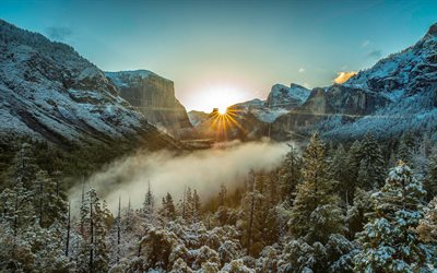 mountain landscape, morning, sunrise, fog, forest, Yosemite National Park, Sierra Nevada, California, USA