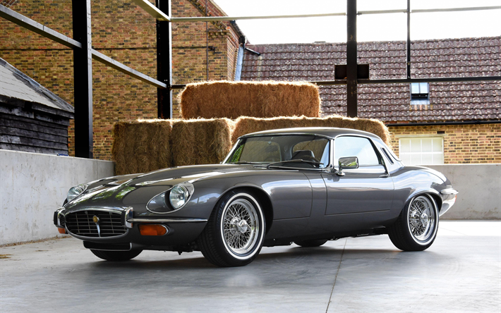 Jaguar E-Type, en 1962, &#224; l&#39;ext&#233;rieur, voitures r&#233;tro, gris de Type E de 1962, les voitures fran&#231;aises, Jaguar