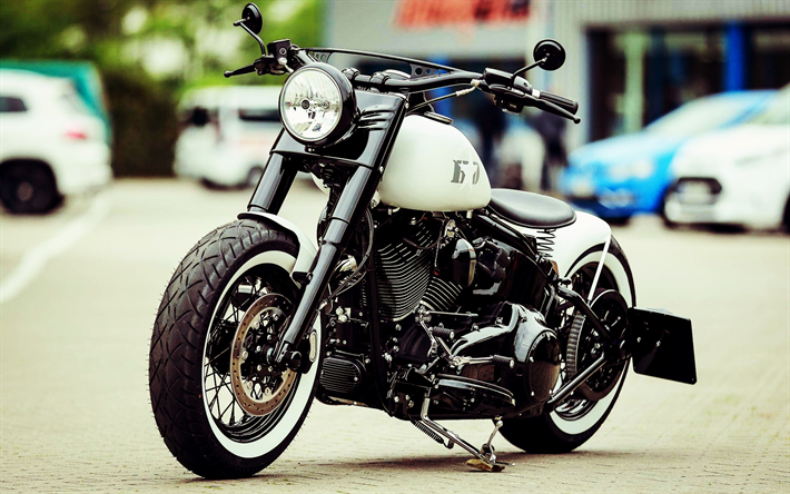 Harley-Davidson Softail Slim, bobber, 2019 bisiklet, superbikes, &#246;zelleştirilmiş motosiklet, 2019 Harley-Davidson Softail Slim, Thunderbike Beyaz Yıldız, Harley-Davidson