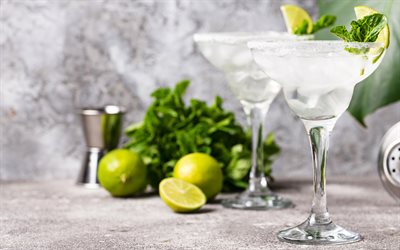 Margarita, cocktail, tequila, liquore all&#39;arancia, succo di lime, sale, margarita ghiacciato, lime, un bicchiere da cocktail