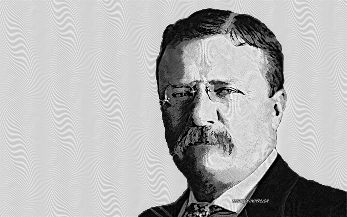 Theodore Roosevelt, 26th US President, portrait, art, American president, USA