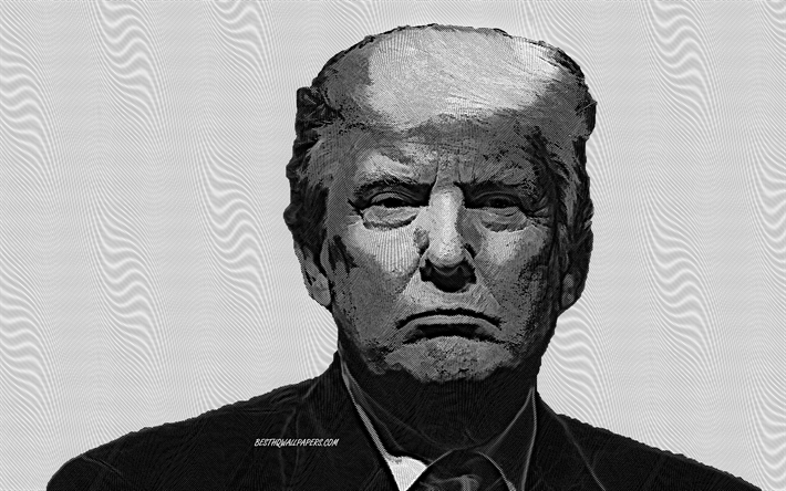 Donald Trump, Retrato, 45&#170;-Presidente dos EUA, Arte, O Presidente Americano, EUA
