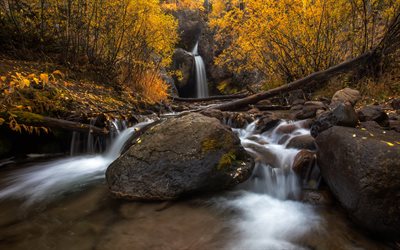 滝, 秋, 黄色の木, 黄色の紅葉, 秋の景観, 川, 美しい滝