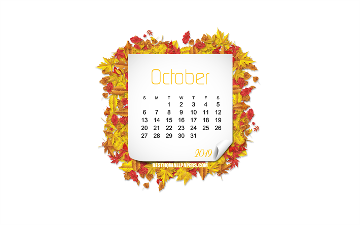 Sarı yaprakları ile 2019 Ekim Takvimi, sonbahar &#231;er&#231;eve, 2019 takvim, Ekim, &#231;er&#231;eve, yaratıcı sanat, beyaz arka plan, Ekim 2019 Takvim