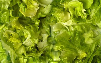 green lettuce leaves, 4k, macro, food textures, lettuce leaves textures, green backgrounds, lettuce