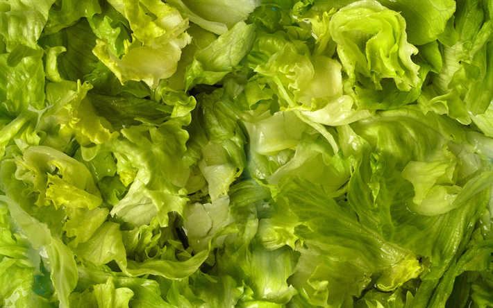 vihre&#228;&#228; salaattia lehdet, 4k, makro, ruoka kuvioita, salaatin lehti&#228; kuvioita, vihre&#228; taustat, salaatti