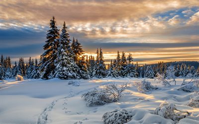 Lillehammer, tramonto, inverno, cumuli di neve, foresta, Norvegia