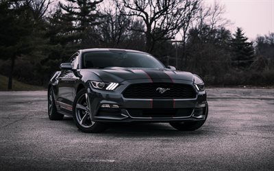 Ford Mustang GT350, gray sports coupe, gray sports car, tuning Mustang, American cars, Ford