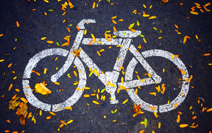 bicicleta, assinar, outono, ciclovia