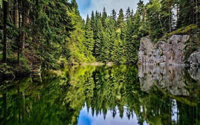 lago de montanha, floresta, montanhas, pedras, lugares &#250;nicos da natureza
