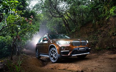 BMW X1, offroad, 2018 cars, crossovers, new X1, forest, BMW