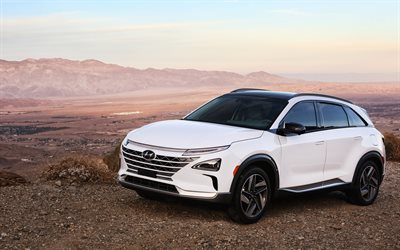 Hyundai Nexo, 2018, hydrogen vehicle, white crossover, new cars, CES, Hyundai
