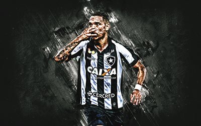 Luiz Fernando, black stone, Botafogo, joy, football, brazilian footballers, grunge, Serie A, Brazil