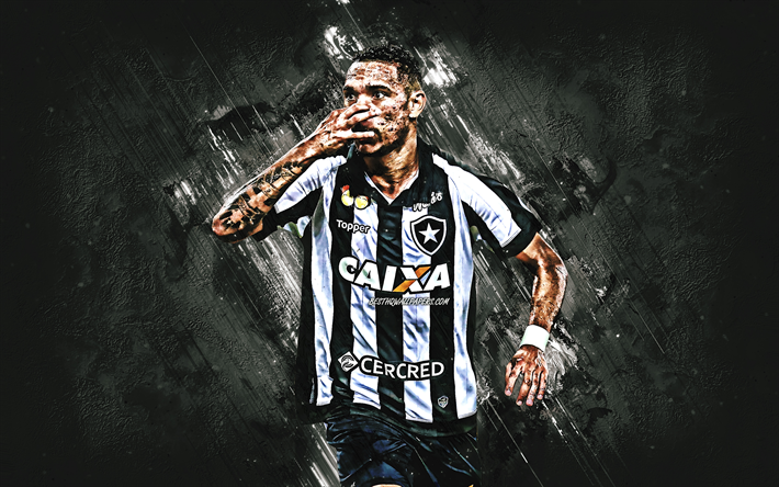 Luiz Fernando, svart sten, Botafogo, gl&#228;dje, fotboll, brasiliansk fotbollsspelare, grunge, Serie A, Brasilien