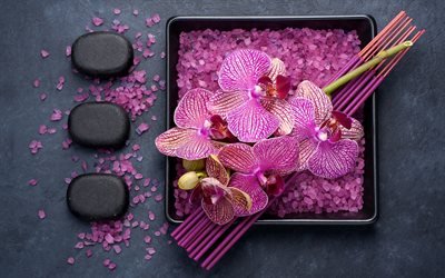 rosa orkid&#233;er, svarta stenar, spa-koncept, rosa salt, svart pl&#229;t, orkid&#233;er