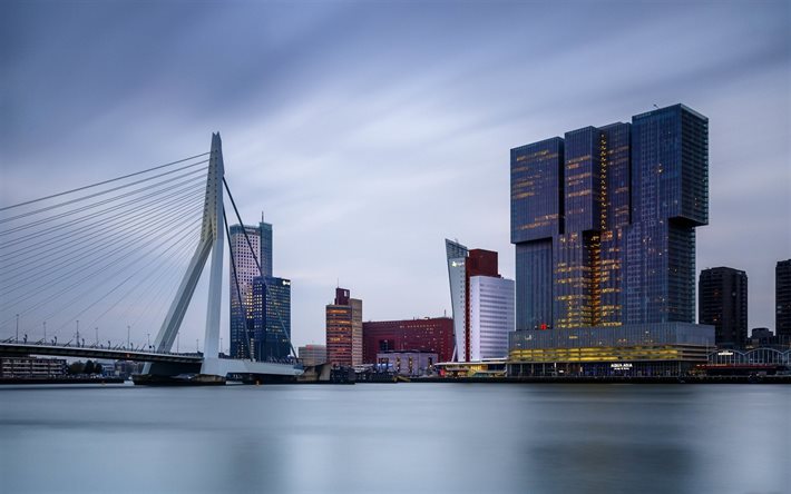 Ponte Erasmus, Rotterdam, Erasmusbrug, ponte estaiada e basculante, noite, p&#244;r do sol, edif&#237;cios modernos, paisagem urbana de Rotterdam, South Holland, Holanda
