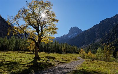 mountain, mountain landscape, forest, sun, Alps, Austria, Tyrol, Karwendel