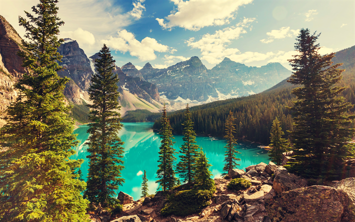 4k, Moraine Lake, summer, Banff National Park, forest, North America, mountains, Canada