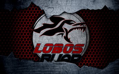 Lobos BUAP, 4k, logo, Liga MX, f&#250;tbol, Primera Divisi&#243;n, club de f&#250;tbol, M&#233;xico, grunge, metal, textura, Lobos BUAP FC
