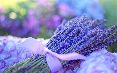 lavender, wildflowers, purple bouquet, bouquet of lavender
