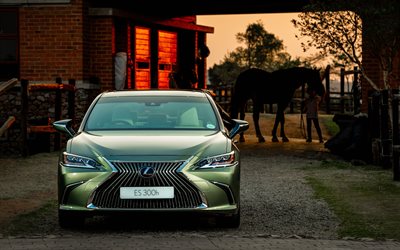 Lexus ES, 300, 2018, vista frontal, exterior, verde novo, ES, Japon&#234;s de carros de luxo, classe executiva, Lexus