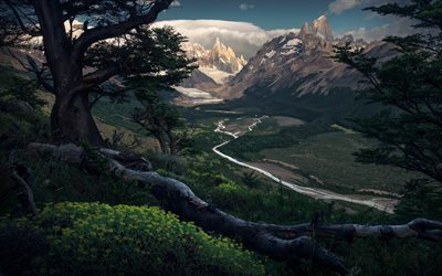 Patagonia, mountains, forest, river, panorama, Argentina, South America