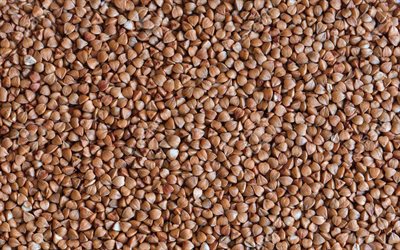 il grano saraceno texture, cereali, cibo texture, grano saraceno, macro, semole texture, sfondi di grano saraceno