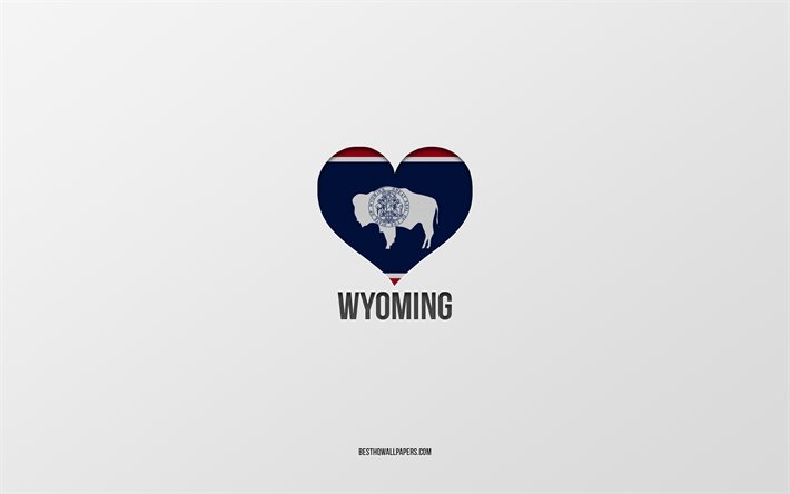 J&#39;aime le Wyoming, les &#201;tats am&#233;ricains, fond gris, l&#39;&#201;tat du Wyoming, USA, le cœur du drapeau du Wyoming, les &#201;tats pr&#233;f&#233;r&#233;s, l&#39;amour du Wyoming