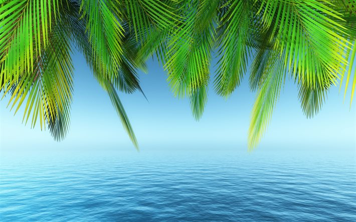 palmgrenar, 4k, hav, paradis, 3D-konst, kreativ, rekreationskoncept, palmram, palmer