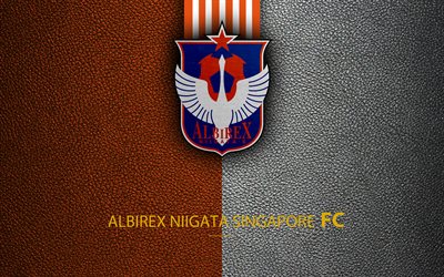 Albirex Niigata Singapore FC, 4k, Singapore Football Club, logo, leather texture, football, Singapore Football Championships