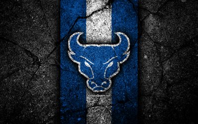 Buffalo Bulls Jackets, 4k, &#233;quipe de football am&#233;ricain, NCAA, pierre blanche bleue, Etats-Unis, texture asphalt&#233;e, football am&#233;ricain, logo buffalo bulls
