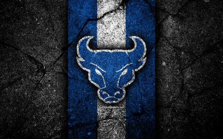 Buffalo Bulls Jackets, 4k, american football team, NCAA, blue white stone, USA, asphalt texture, american football, Buffalo Bulls logo
