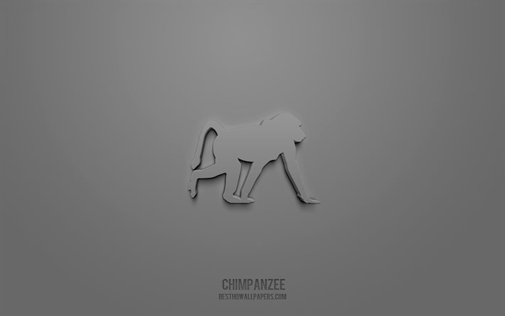 Icona scimpanz&#233; 3d, sfondo grigio, simboli 3d, scimpanz&#233;, arte creativa 3d, icone 3d, segno scimpanz&#233;, icone Animals 3d