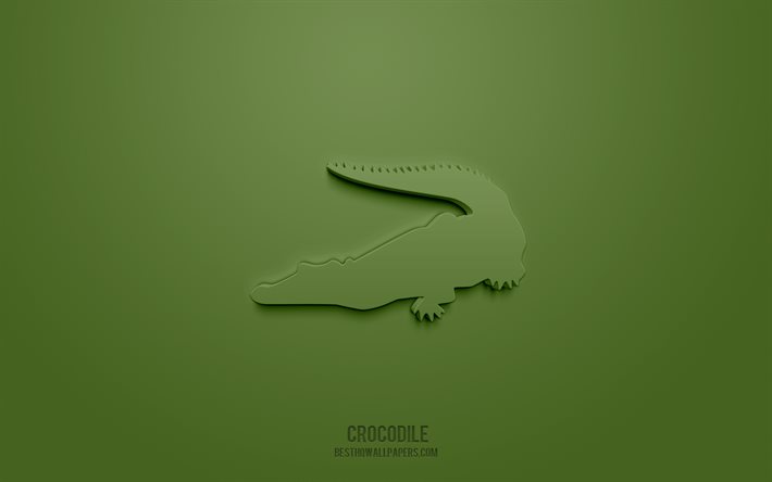 Crocodile 3d icon, green background, 3d symbols, Crocodile, creative 3d art, 3d icons, Crocodile sign, Animals 3d icons