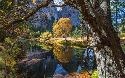 4k, Yosemite National Park, h&#246;st, river, amerikanska landm&#228;rken, skogen, Kalifornien, USA, Amerika
